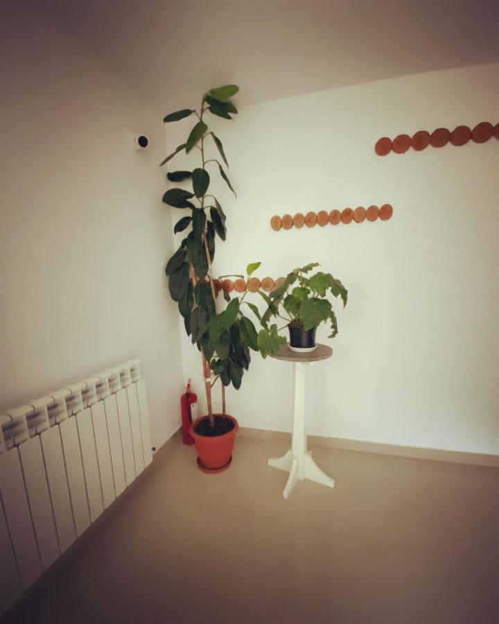 Maison Platanus فوينياسا المظهر الخارجي الصورة